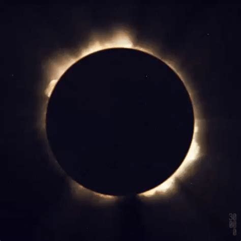 eclipse gif funny free